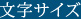 文字サイズ