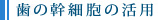 歯の幹細胞の活用